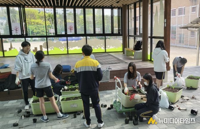 모종을 대형 화분에 옮겨 심는 학생들(화수중학교 생태환경동아리 활동)