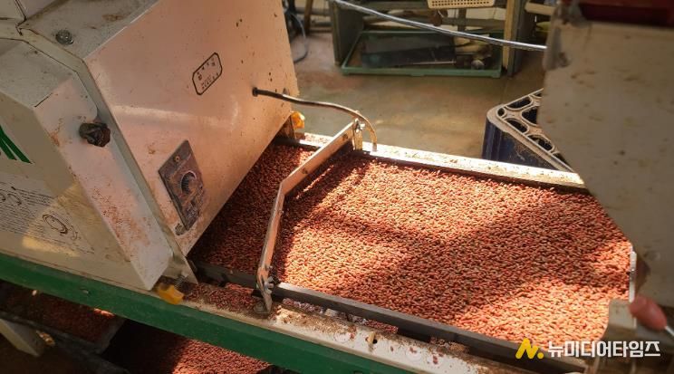 서산시, 벼 종자소독·못자리 현장 중점지도반 운영