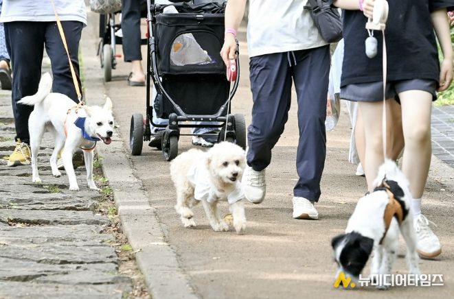 지난해 6월 14일 관내 안산(鞍山) 반려견 산책로에서 열린 ‘반려동물과 함께 걷기 행사’ 모습