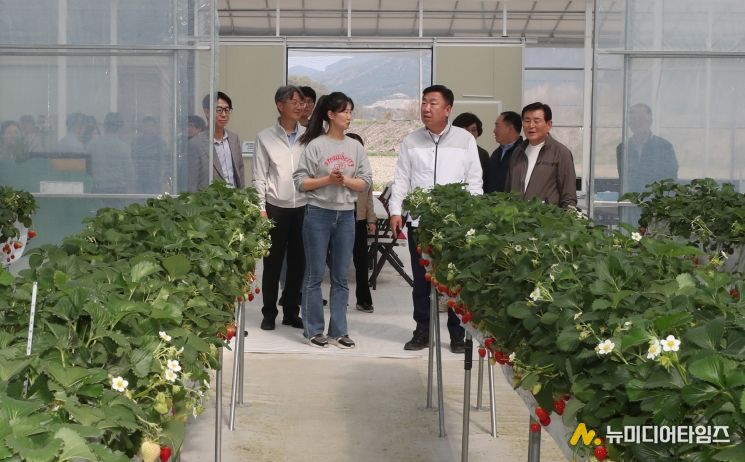 이범석 청주시장, 청년 창업농 딸기재배 현장 방문