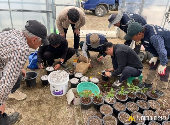 김천시, 호두나무 묘목 생산 기술 현장설명회 개최