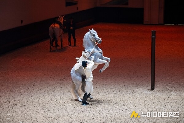 Royal Gala of Abu Dhabi Royal Equestrian Arts